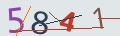 verifycode